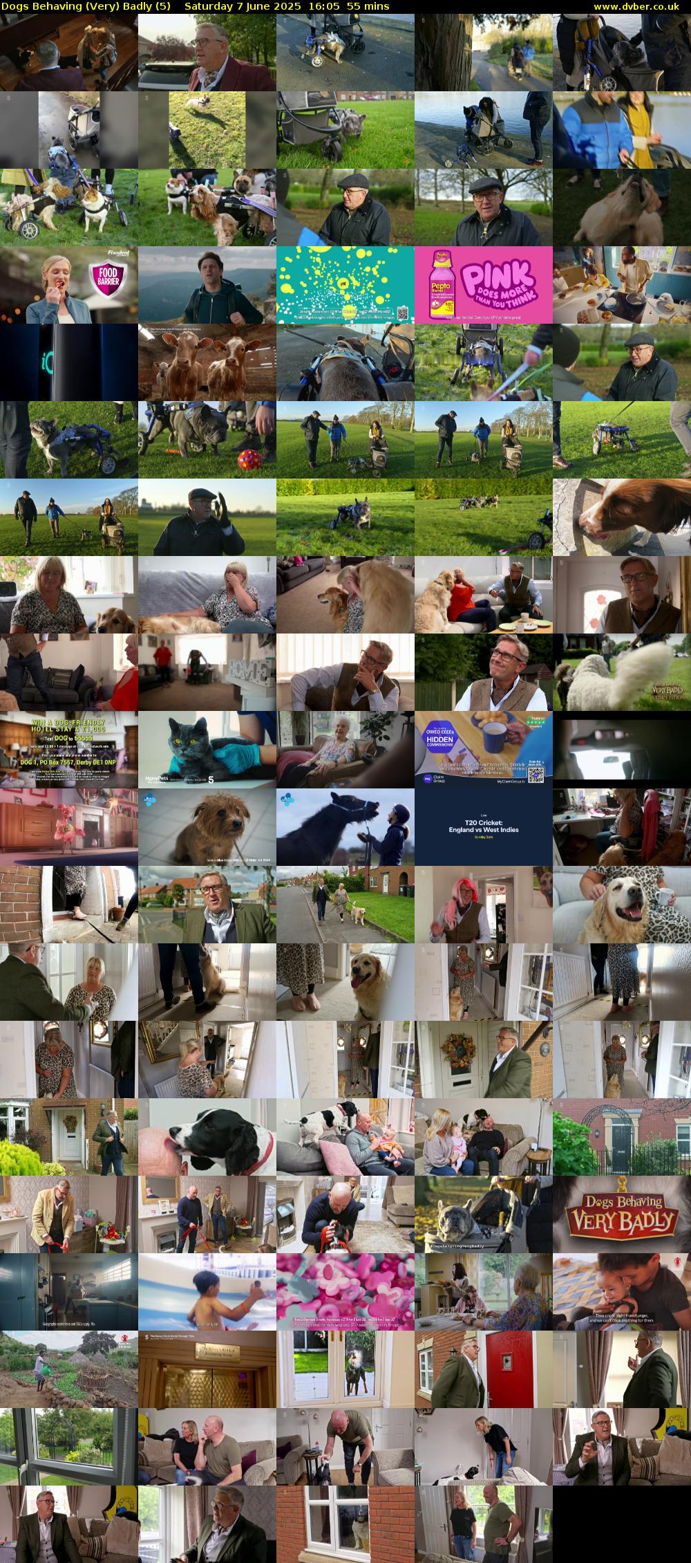 Dogs Behaving (Very) Badly (5) Saturday 7 June 2025 16:05 - 17:00