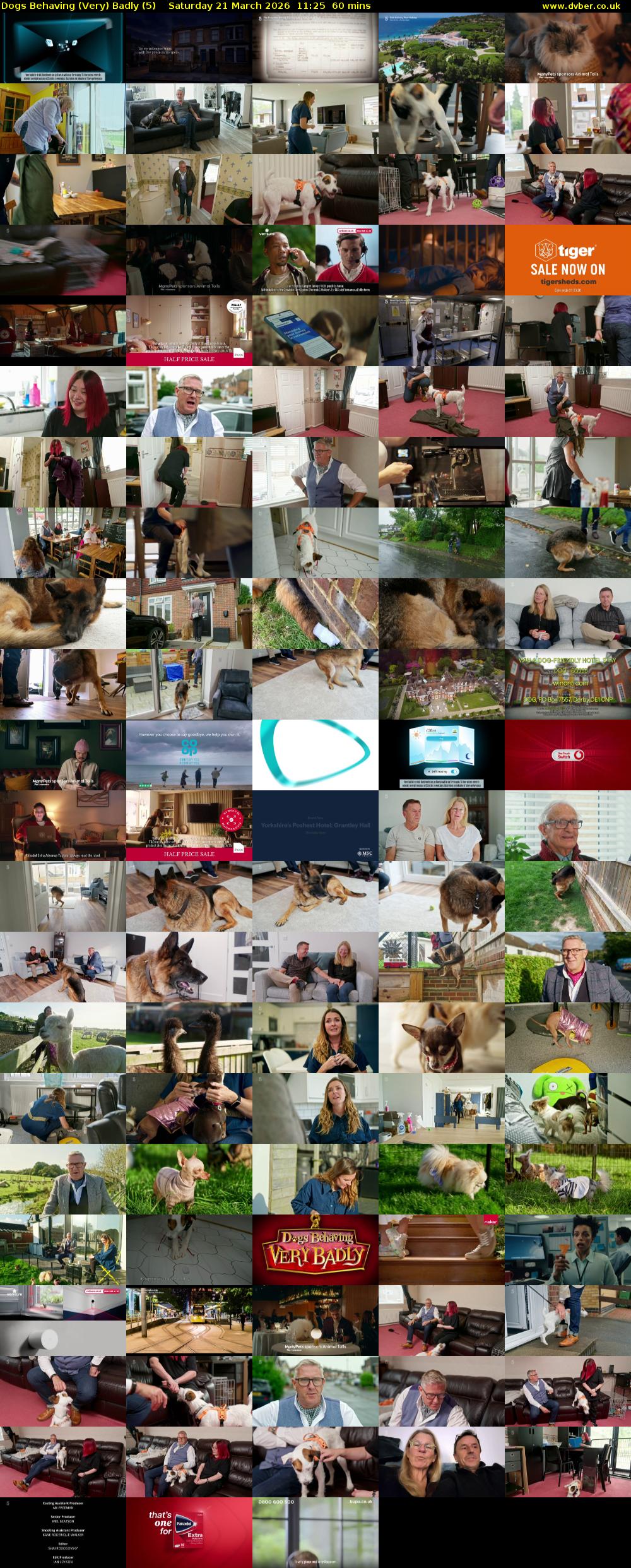 Dogs Behaving (Very) Badly (5) Saturday 21 March 2026 11:25 - 12:25
