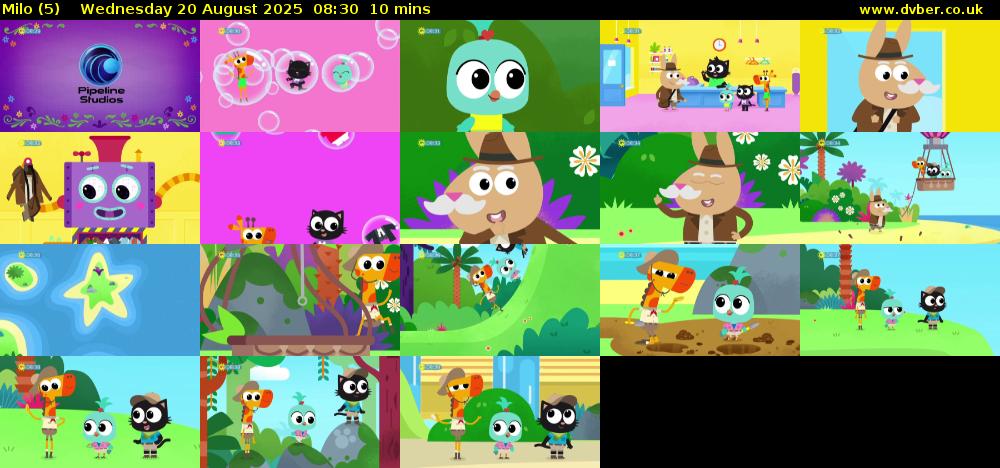 Milo (5) Wednesday 20 August 2025 08:30 - 08:40