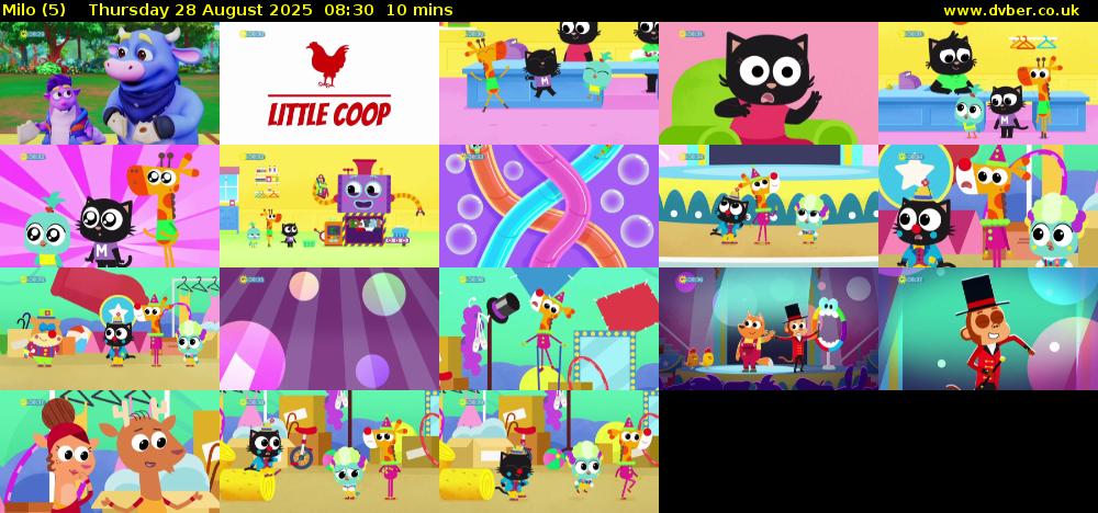 Milo (5) Thursday 28 August 2025 08:30 - 08:40