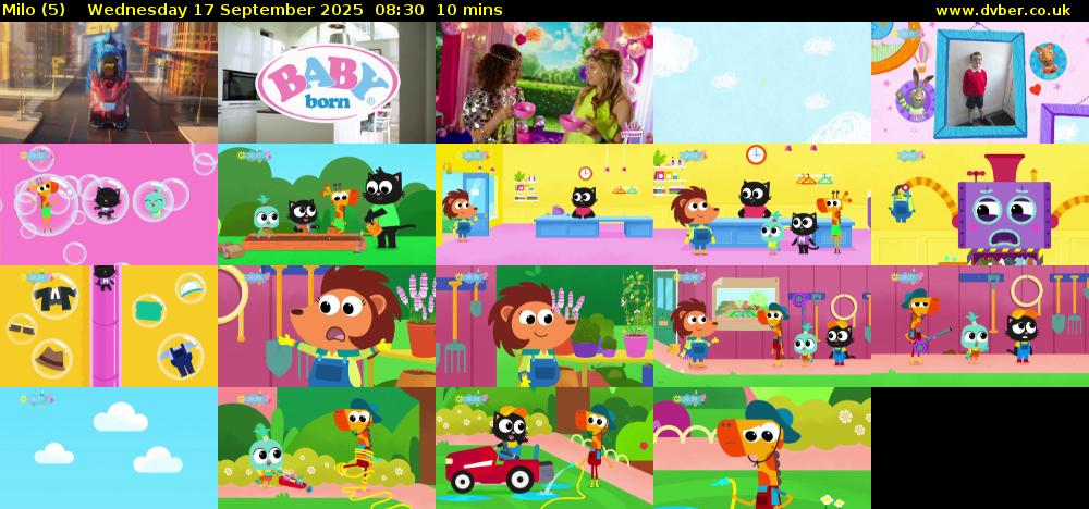 Milo (5) Wednesday 17 September 2025 08:30 - 08:40