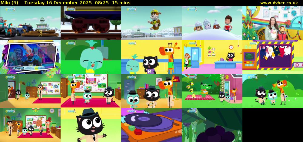 Milo (5) Tuesday 16 December 2025 08:25 - 08:40