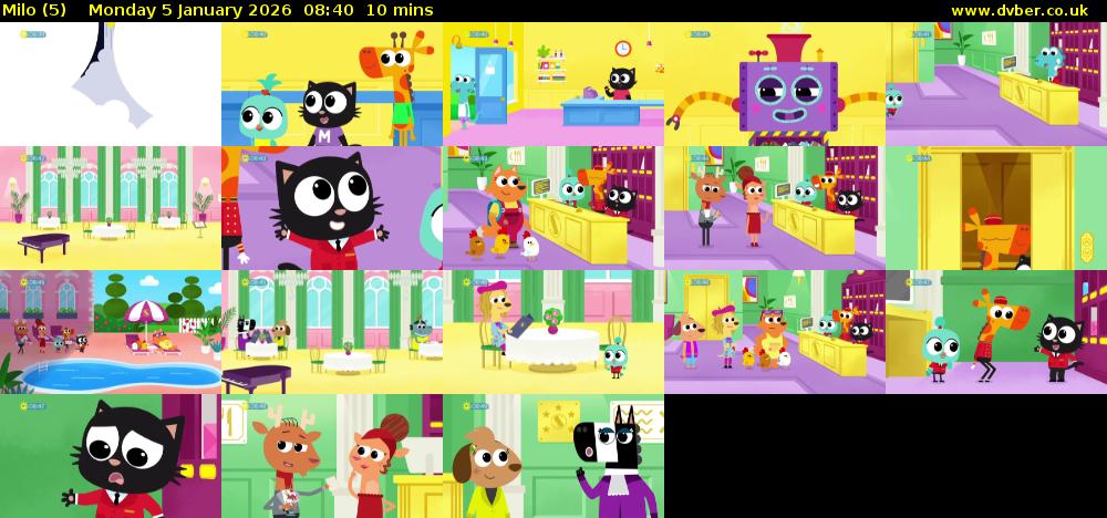 Milo (5) Monday 5 January 2026 08:40 - 08:50