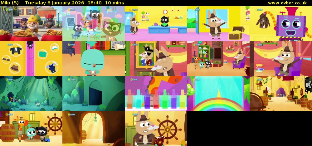 Milo (5) Tuesday 6 January 2026 08:40 - 08:50