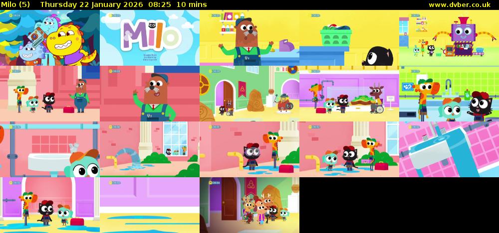 Milo (5) Thursday 22 January 2026 08:25 - 08:35