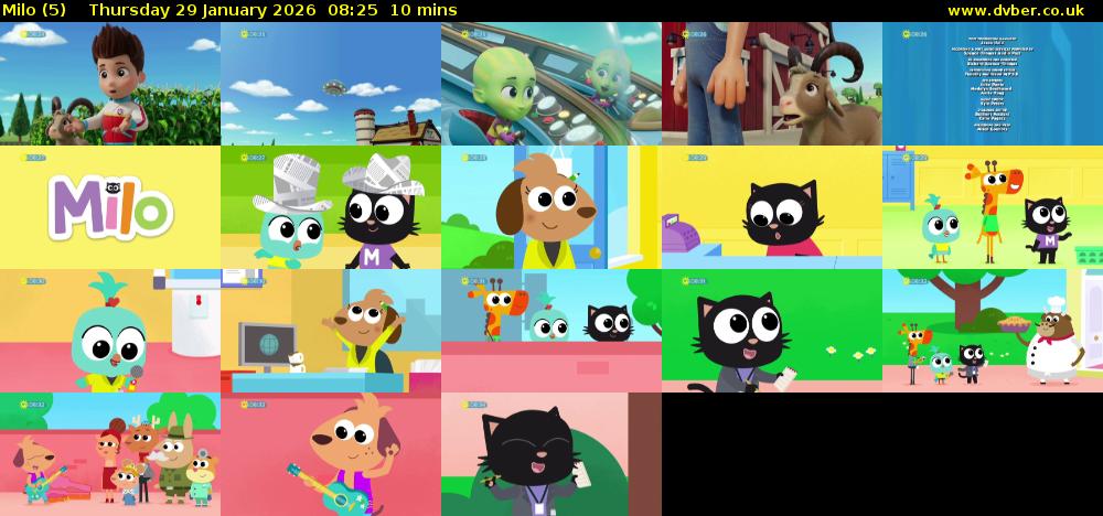 Milo (5) Thursday 29 January 2026 08:25 - 08:35