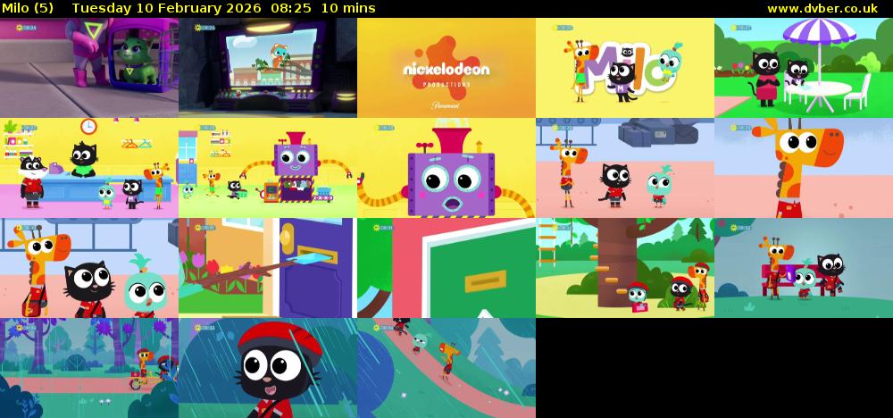 Milo (5) Tuesday 10 February 2026 08:25 - 08:35