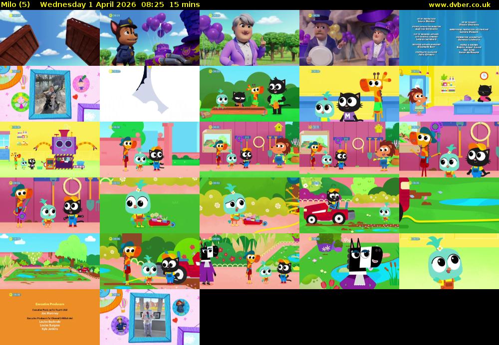 Milo (5) Wednesday 1 April 2026 08:25 - 08:40