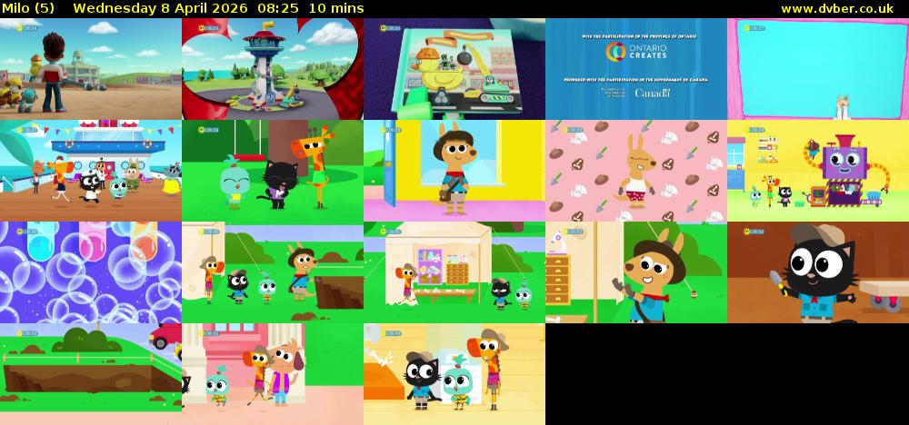 Milo (5) Wednesday 8 April 2026 08:25 - 08:35
