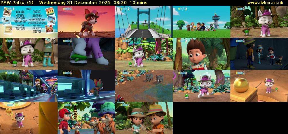 PAW Patrol (5) Wednesday 31 December 2025 08:20 - 08:30