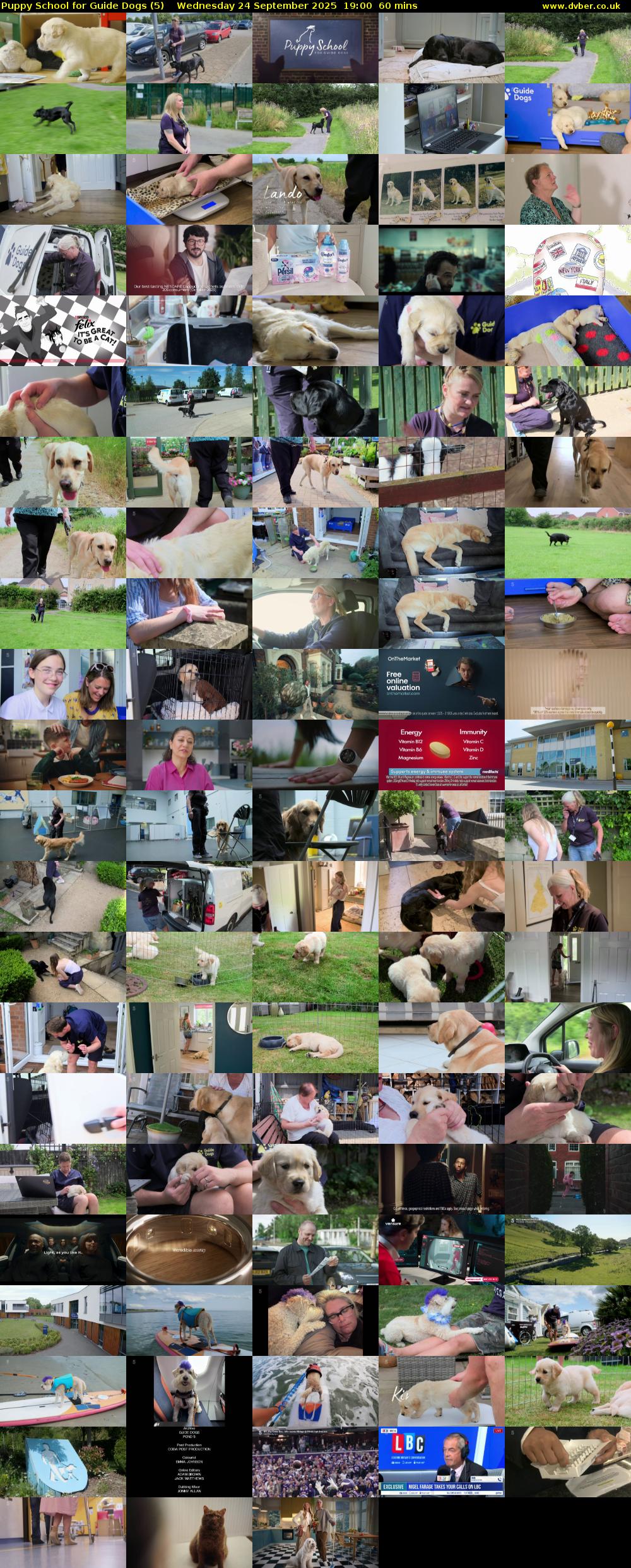 Puppy School for Guide Dogs (5) Wednesday 24 September 2025 19:00 - 20:00