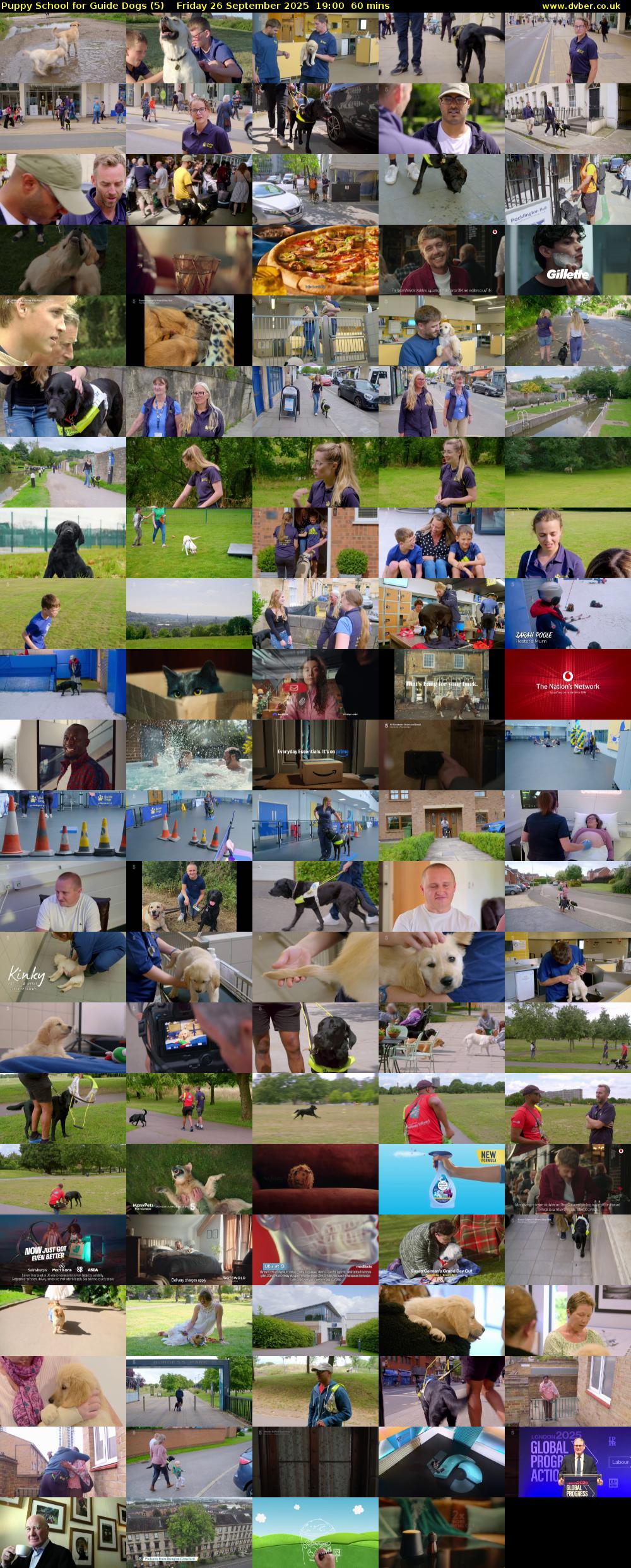 Puppy School for Guide Dogs (5) Friday 26 September 2025 19:00 - 20:00