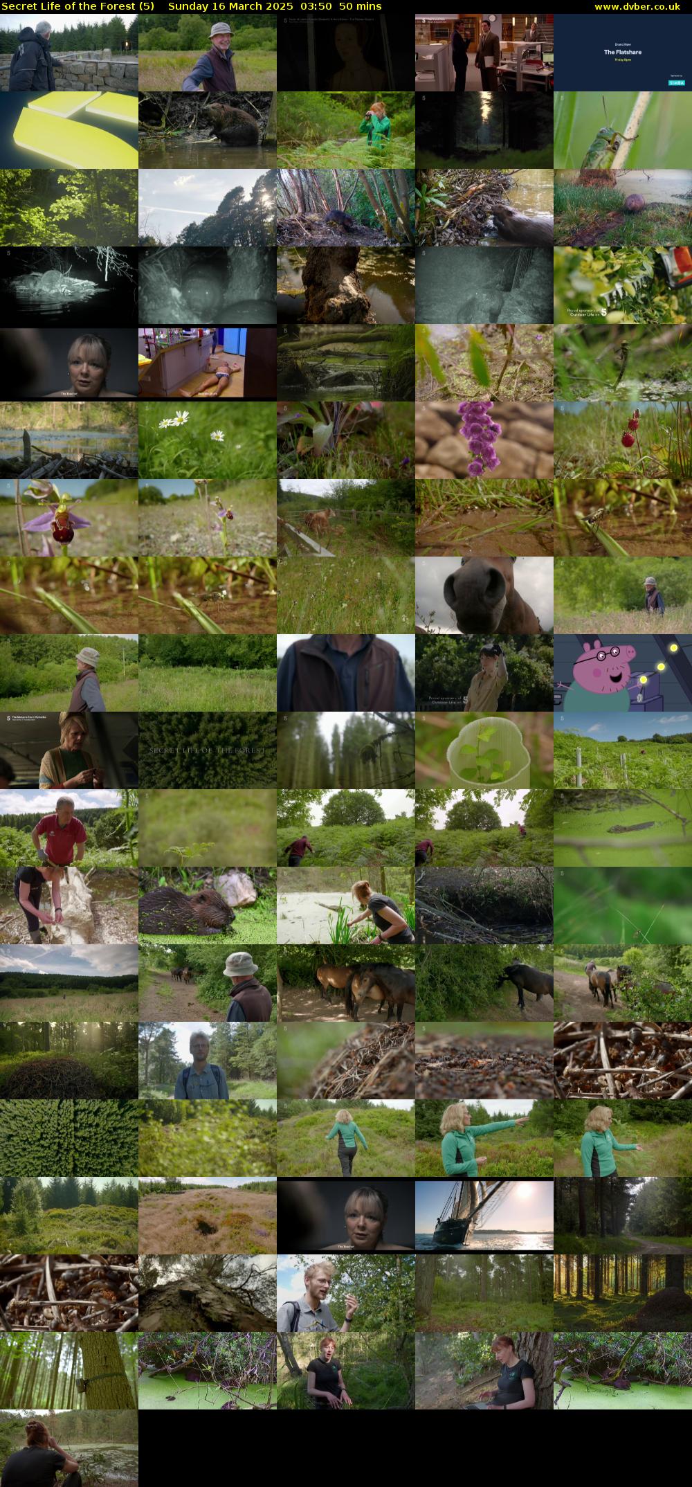 Secret Life of the Forest (5) Sunday 16 March 2025 03:50 - 04:40