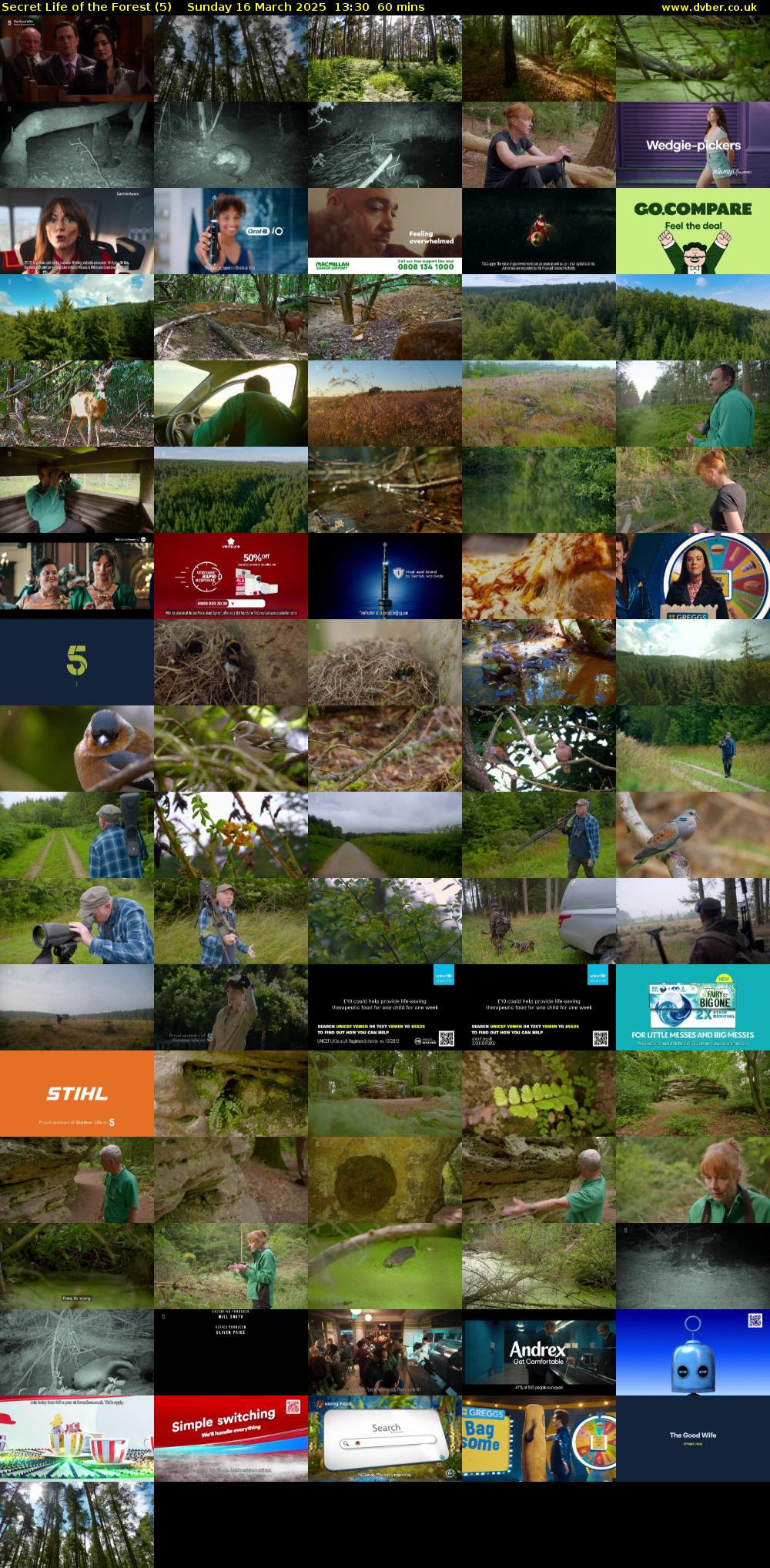 Secret Life of the Forest (5) Sunday 16 March 2025 13:30 - 14:30