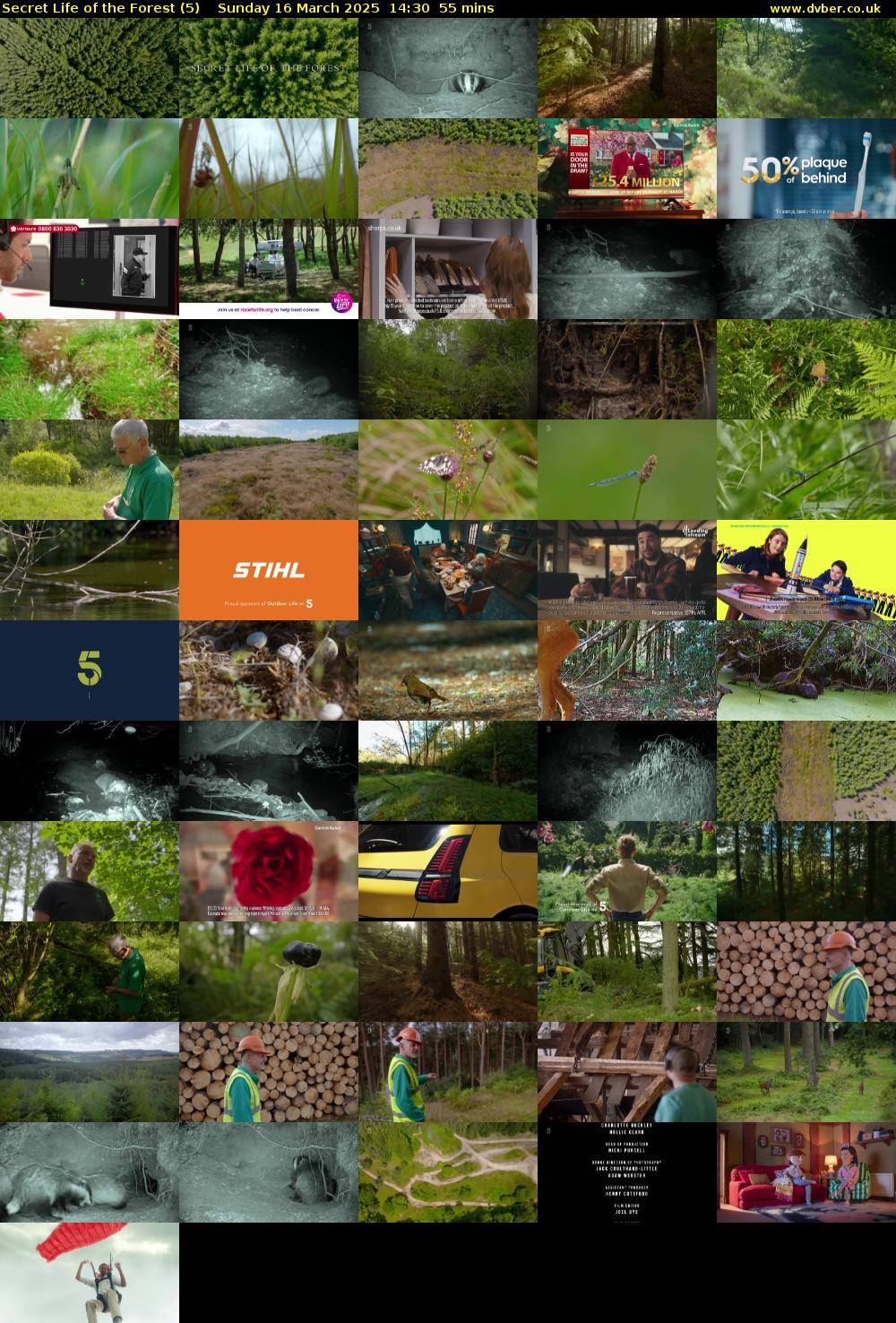 Secret Life of the Forest (5) Sunday 16 March 2025 14:30 - 15:25