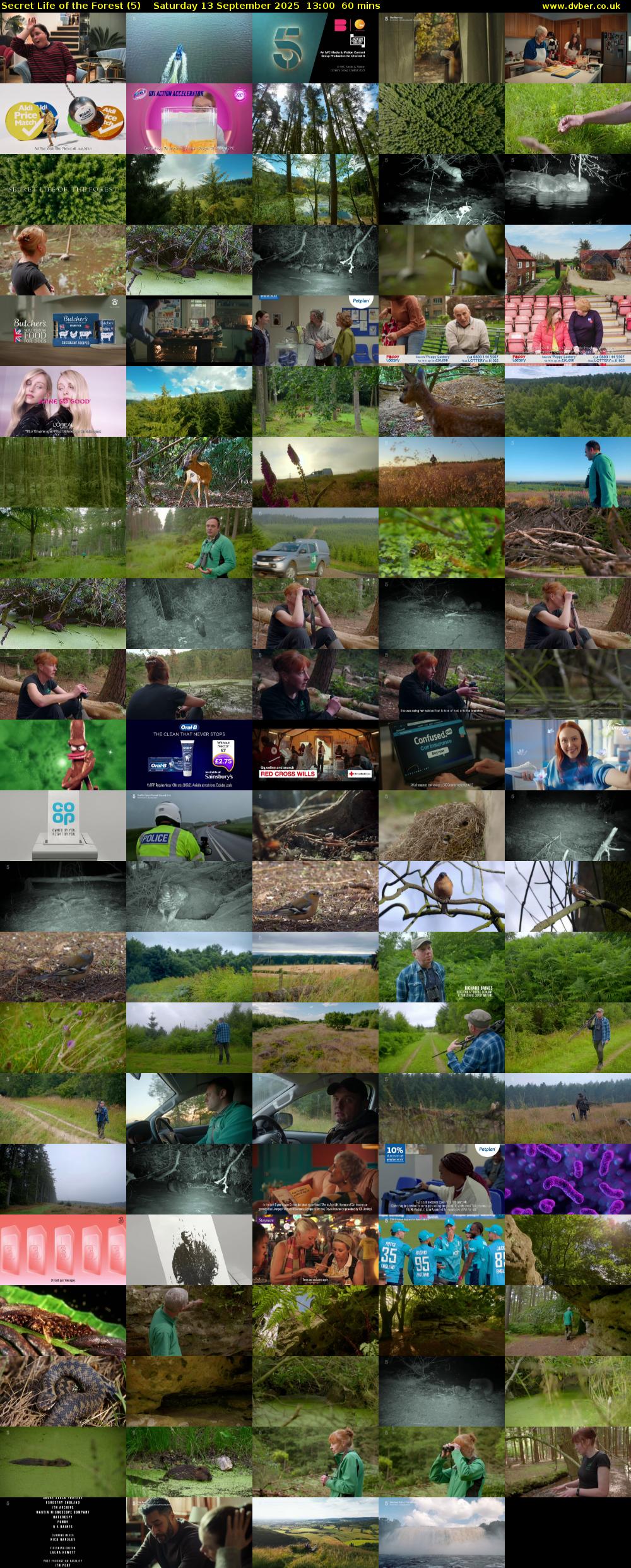 Secret Life of the Forest (5) Saturday 13 September 2025 13:00 - 14:00