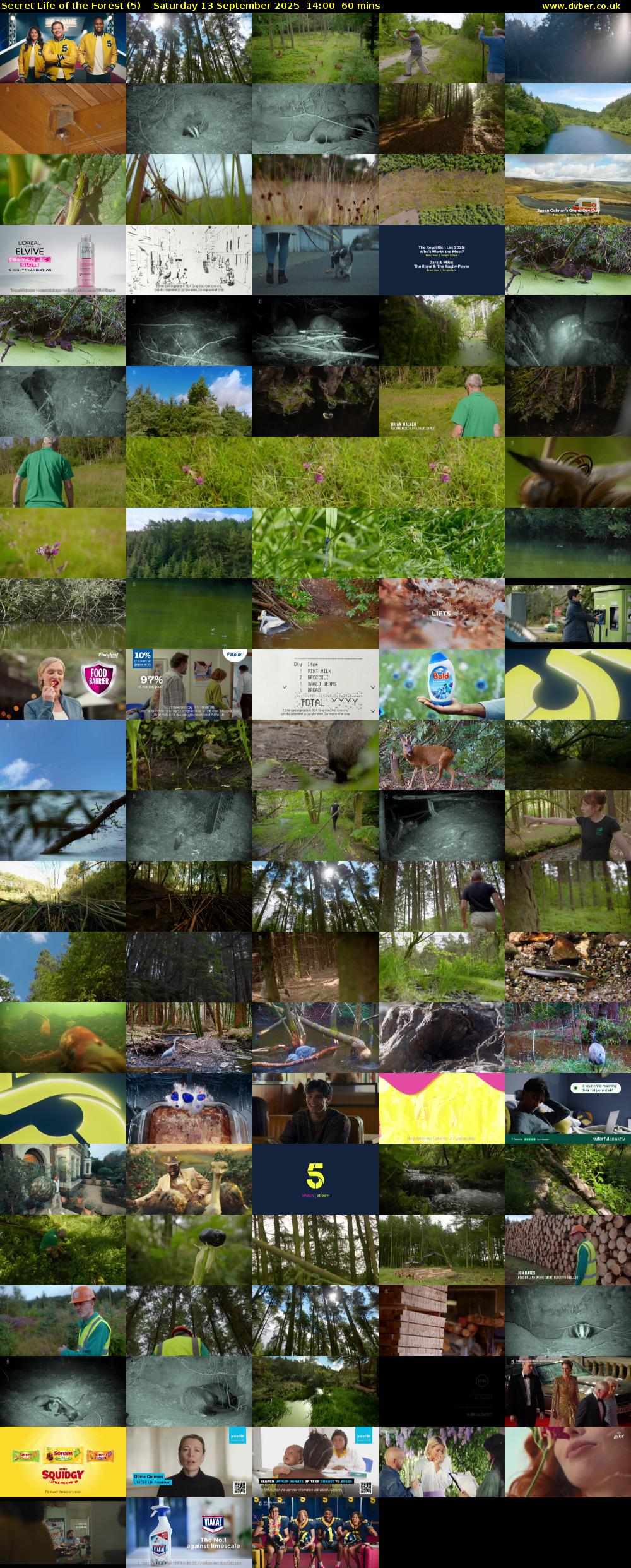 Secret Life of the Forest (5) Saturday 13 September 2025 14:00 - 15:00