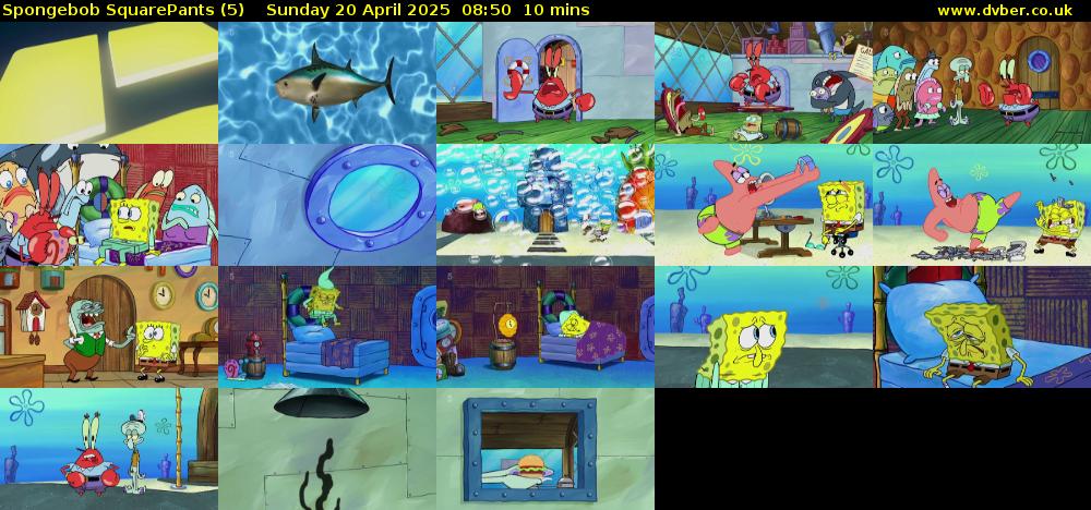 Spongebob SquarePants (5) Sunday 20 April 2025 08:50 - 09:00