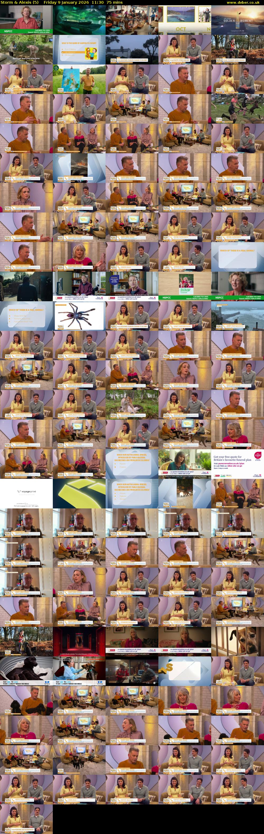 Storm & Alexis (5) Friday 9 January 2026 11:30 - 12:45