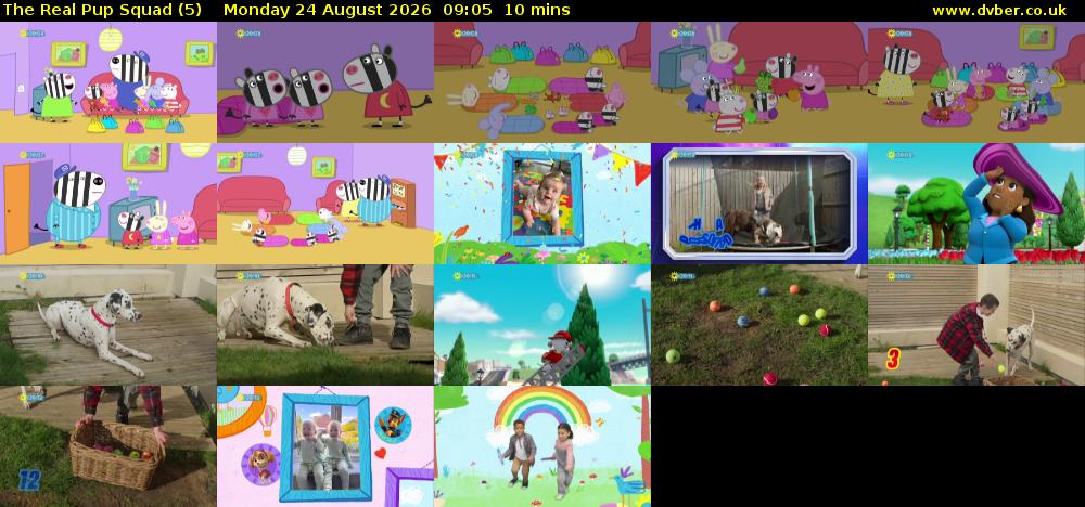 The Real Pup Squad (5) Monday 24 August 2026 09:05 - 09:15