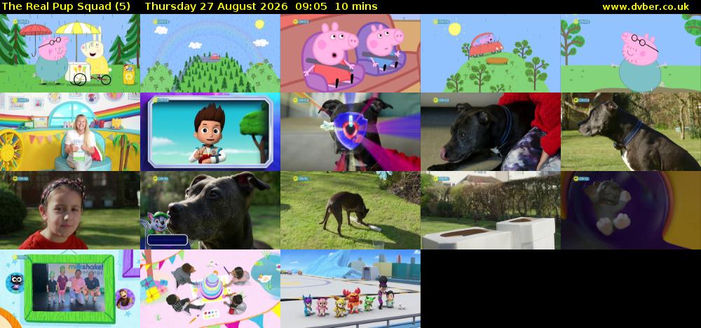 The Real Pup Squad (5) Thursday 27 August 2026 09:05 - 09:15
