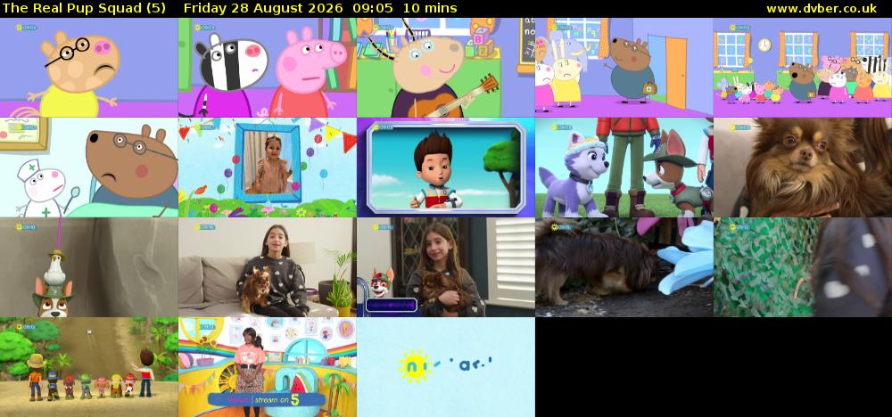 The Real Pup Squad (5) Friday 28 August 2026 09:05 - 09:15