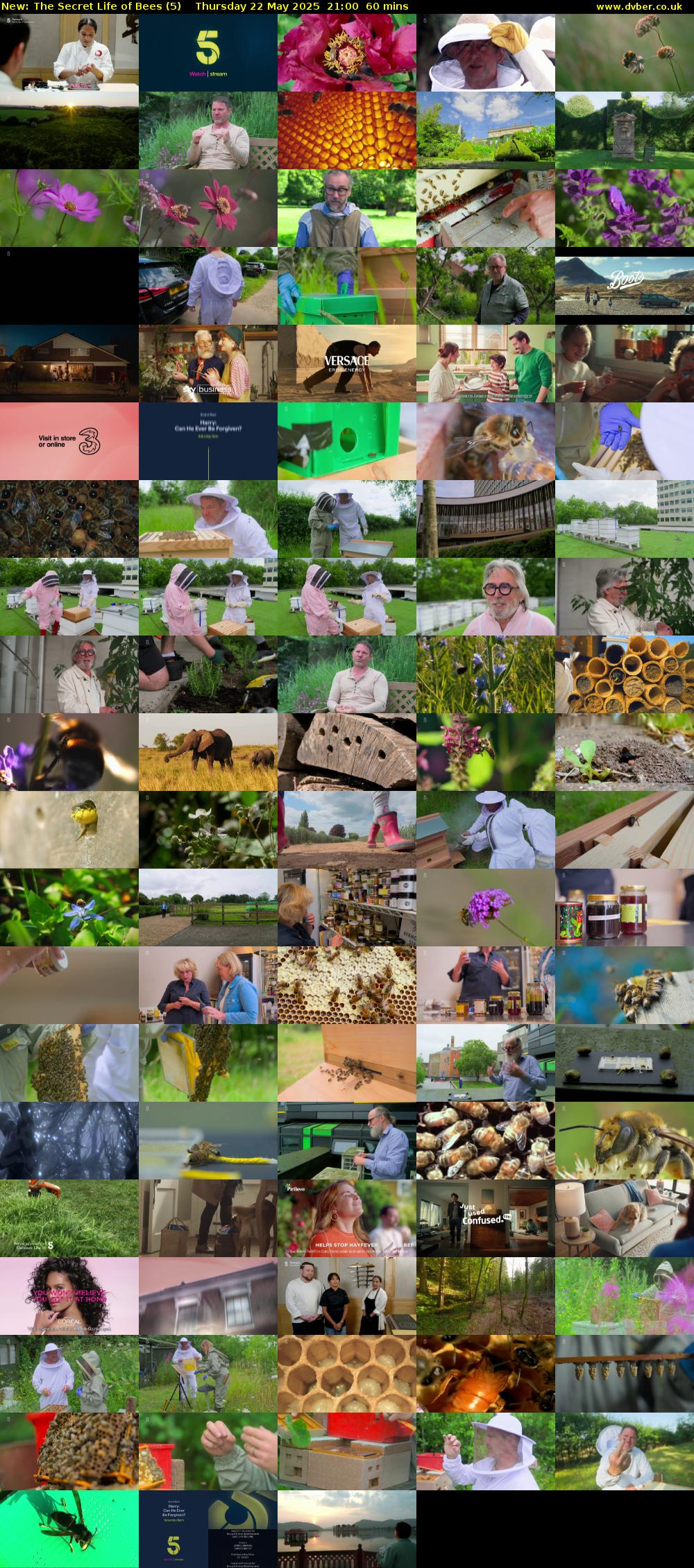 The Secret Life of Bees (5) Thursday 22 May 2025 21:00 - 22:00
