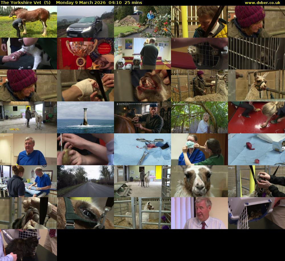 The Yorkshire Vet  (5) Monday 9 March 2026 04:10 - 04:35