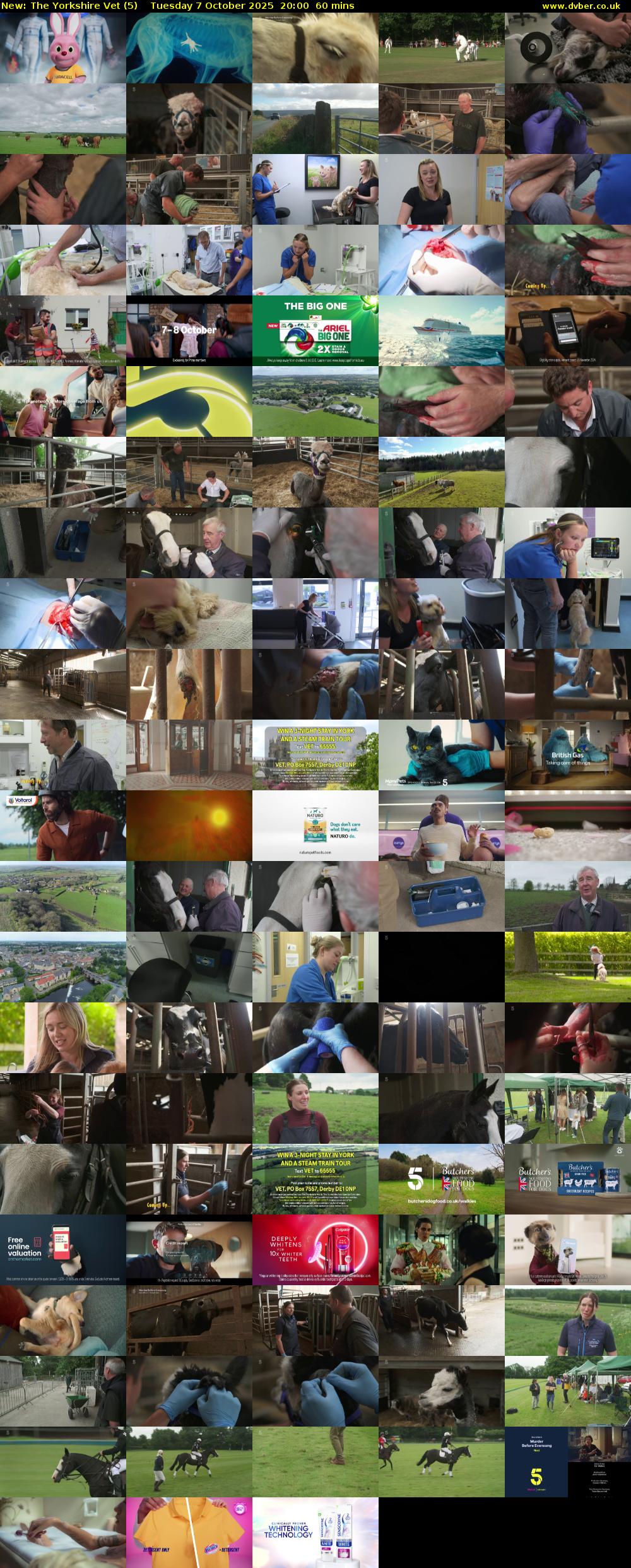 The Yorkshire Vet (5) Tuesday 7 October 2025 20:00 - 21:00
