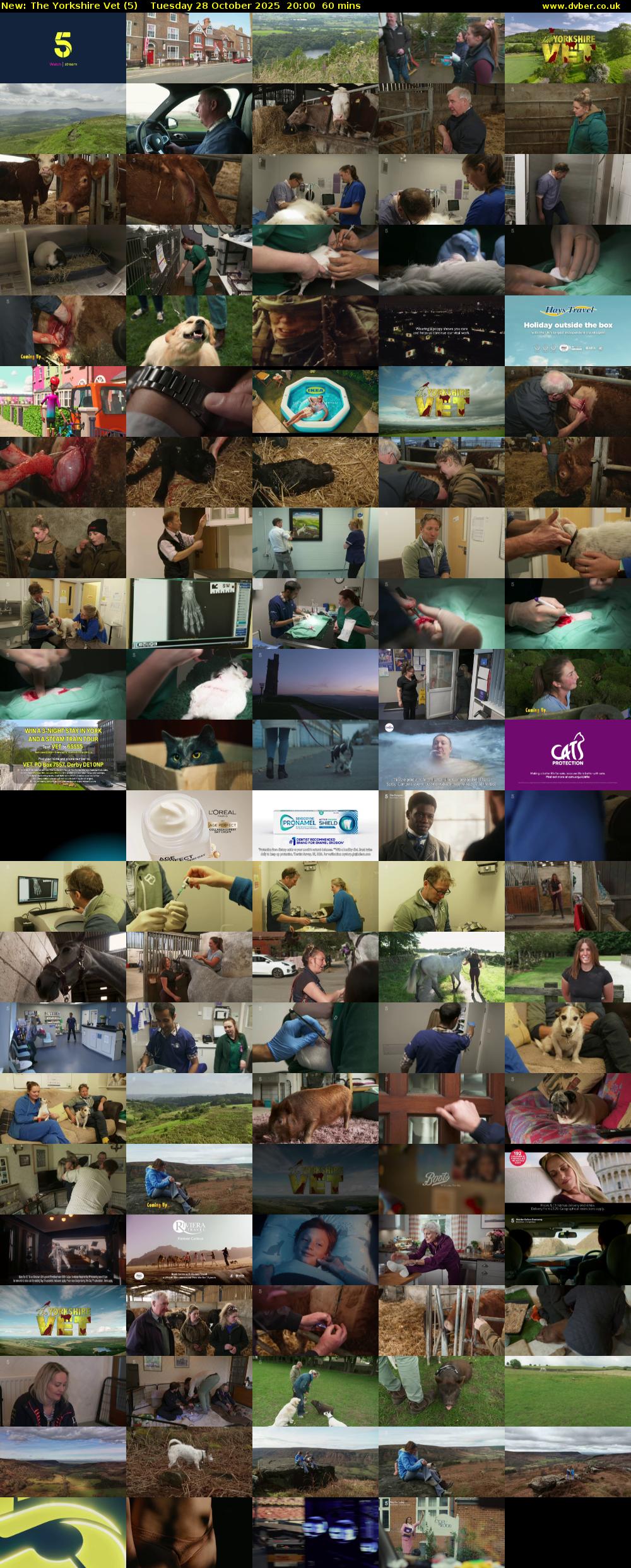 The Yorkshire Vet (5) Tuesday 28 October 2025 20:00 - 21:00