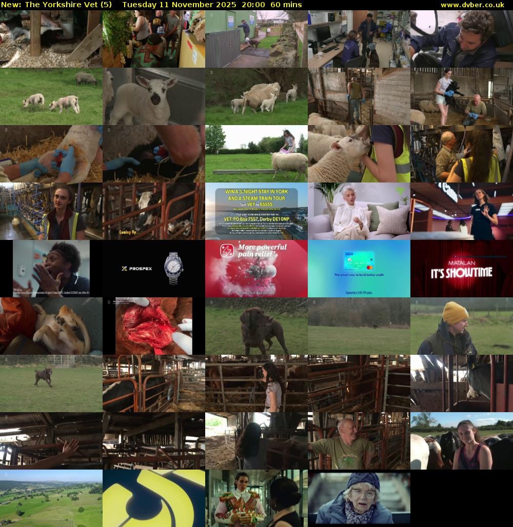 The Yorkshire Vet (5) Tuesday 11 November 2025 20:00 - 21:00