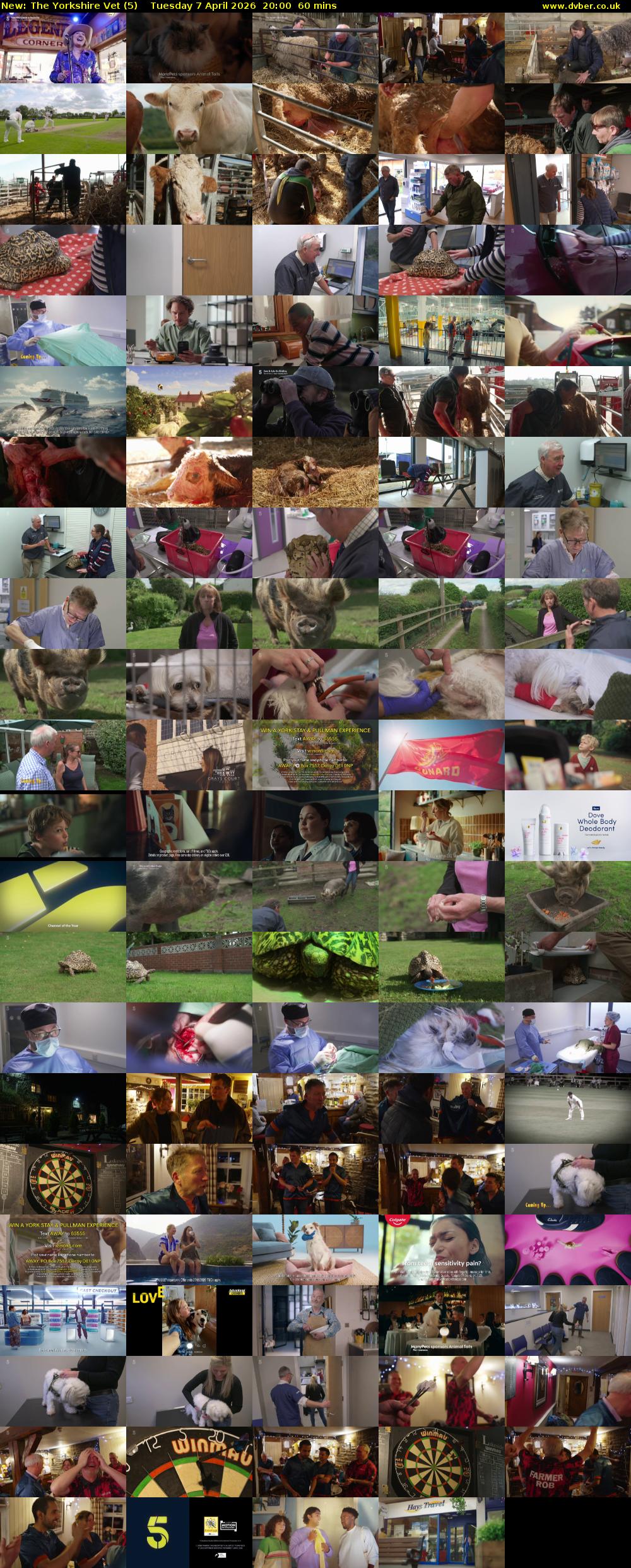 The Yorkshire Vet (5) Tuesday 7 April 2026 20:00 - 21:00