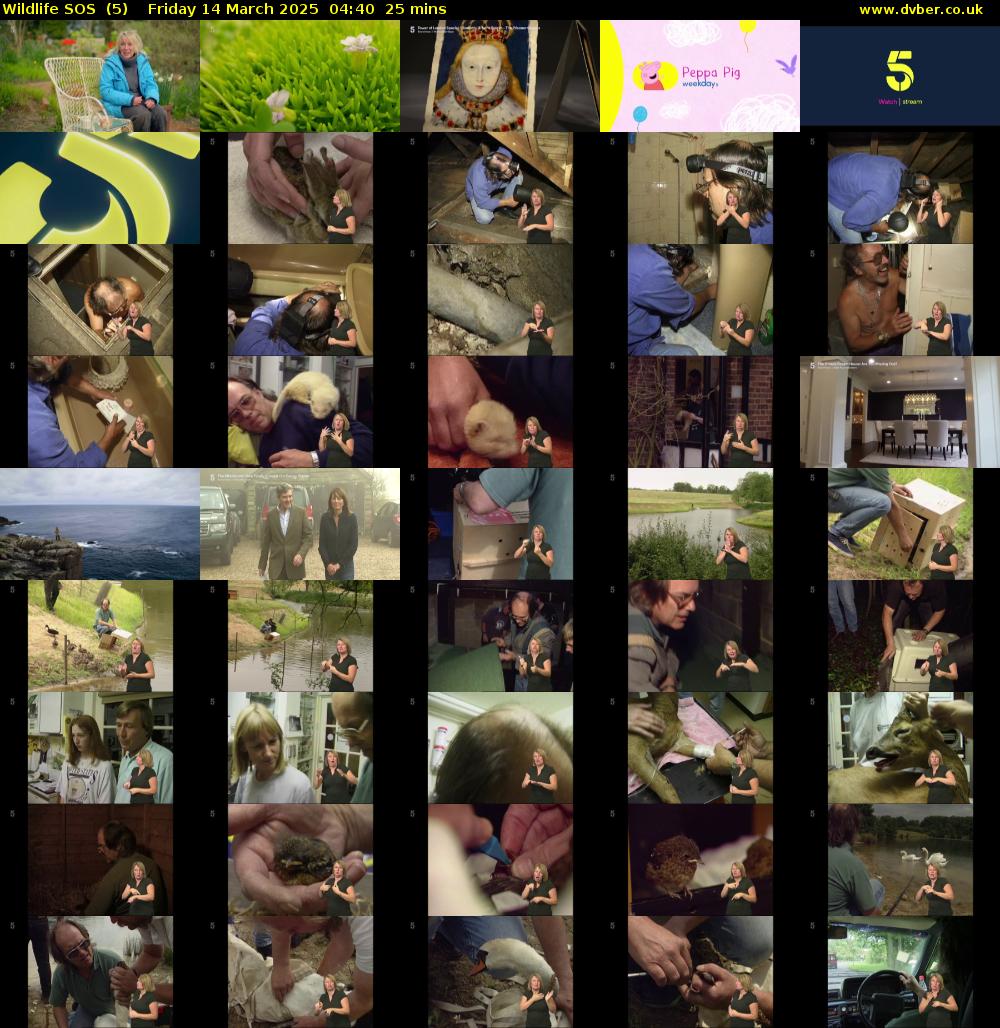 Wildlife SOS  (5) Friday 14 March 2025 04:40 - 05:05