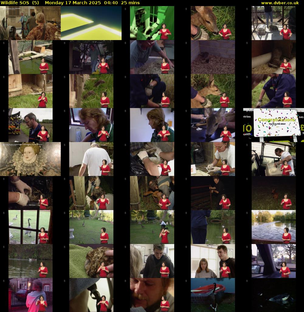 Wildlife SOS  (5) Monday 17 March 2025 04:40 - 05:05