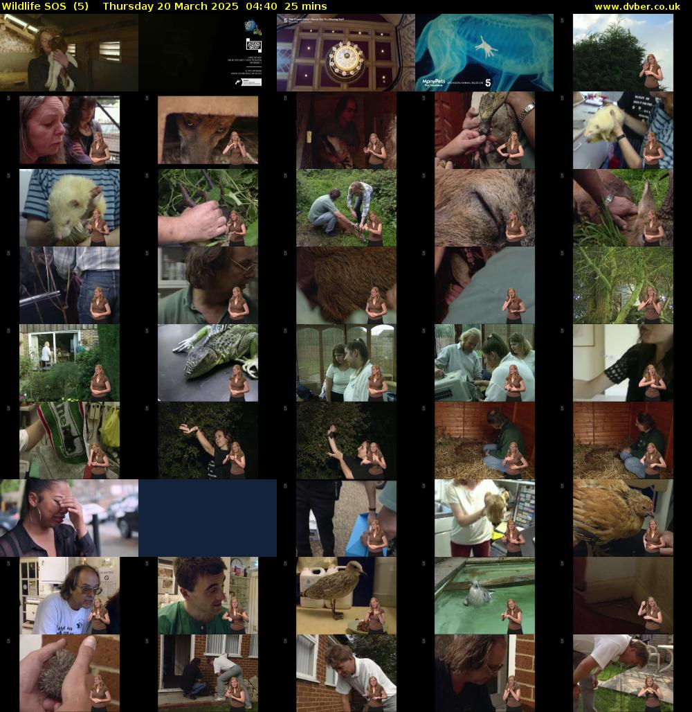 Wildlife SOS  (5) Thursday 20 March 2025 04:40 - 05:05