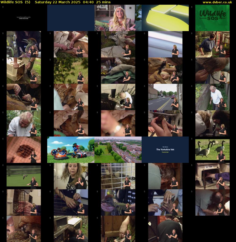 Wildlife SOS  (5) Saturday 22 March 2025 04:40 - 05:05