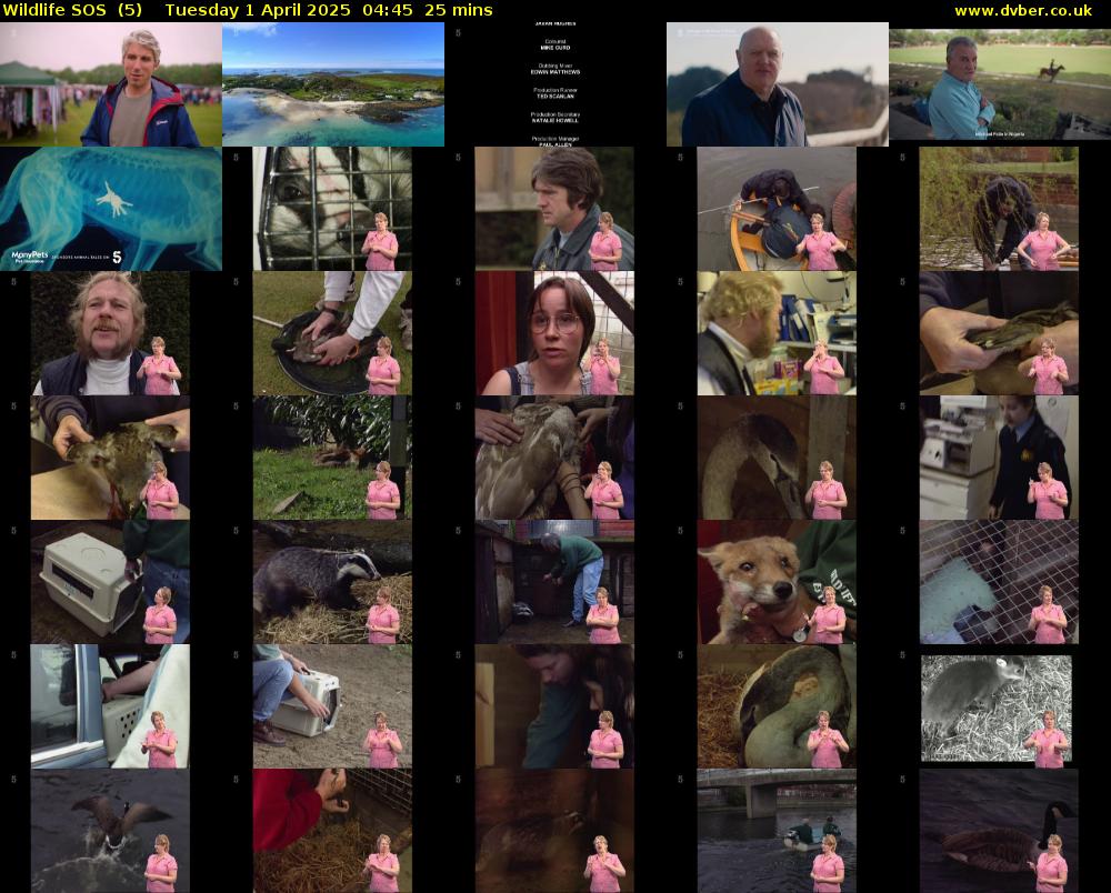 Wildlife SOS  (5) Tuesday 1 April 2025 04:45 - 05:10