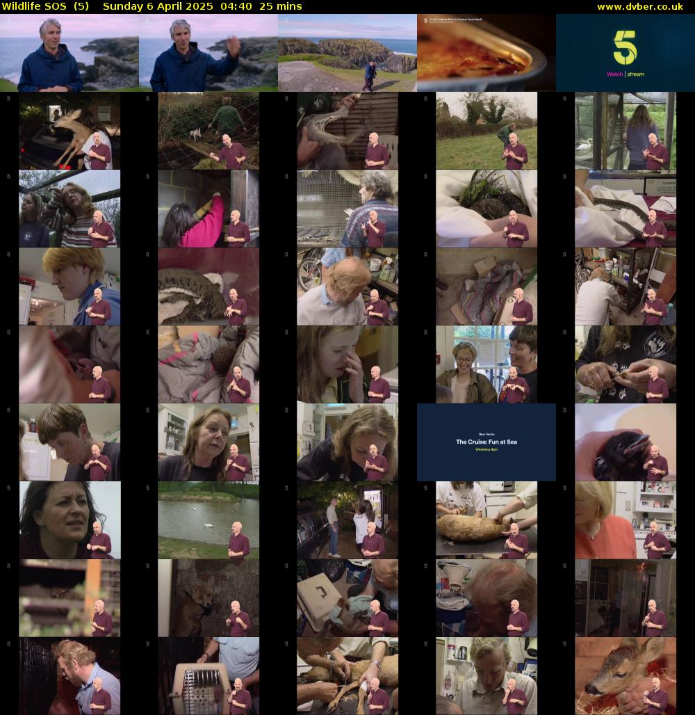 Wildlife SOS  (5) Sunday 6 April 2025 04:40 - 05:05