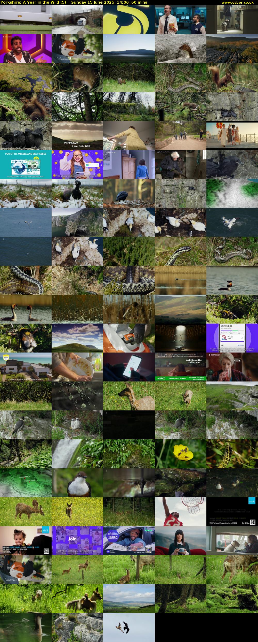 Yorkshire: A Year in the Wild (5) Sunday 15 June 2025 14:00 - 15:00