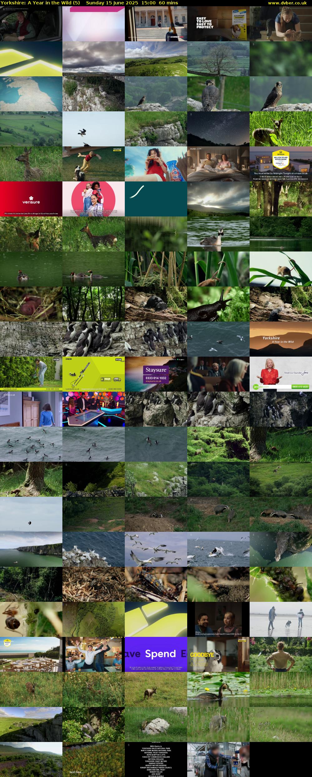 Yorkshire: A Year in the Wild (5) Sunday 15 June 2025 15:00 - 16:00