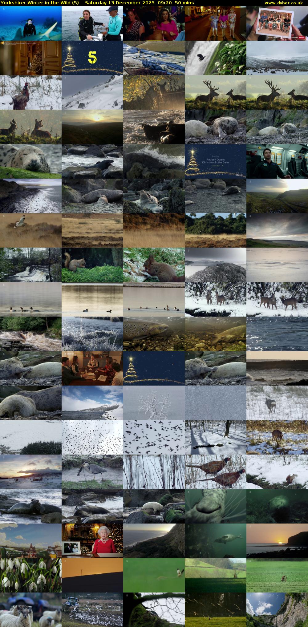 Yorkshire: Winter in the Wild (5) Saturday 13 December 2025 09:20 - 10:10