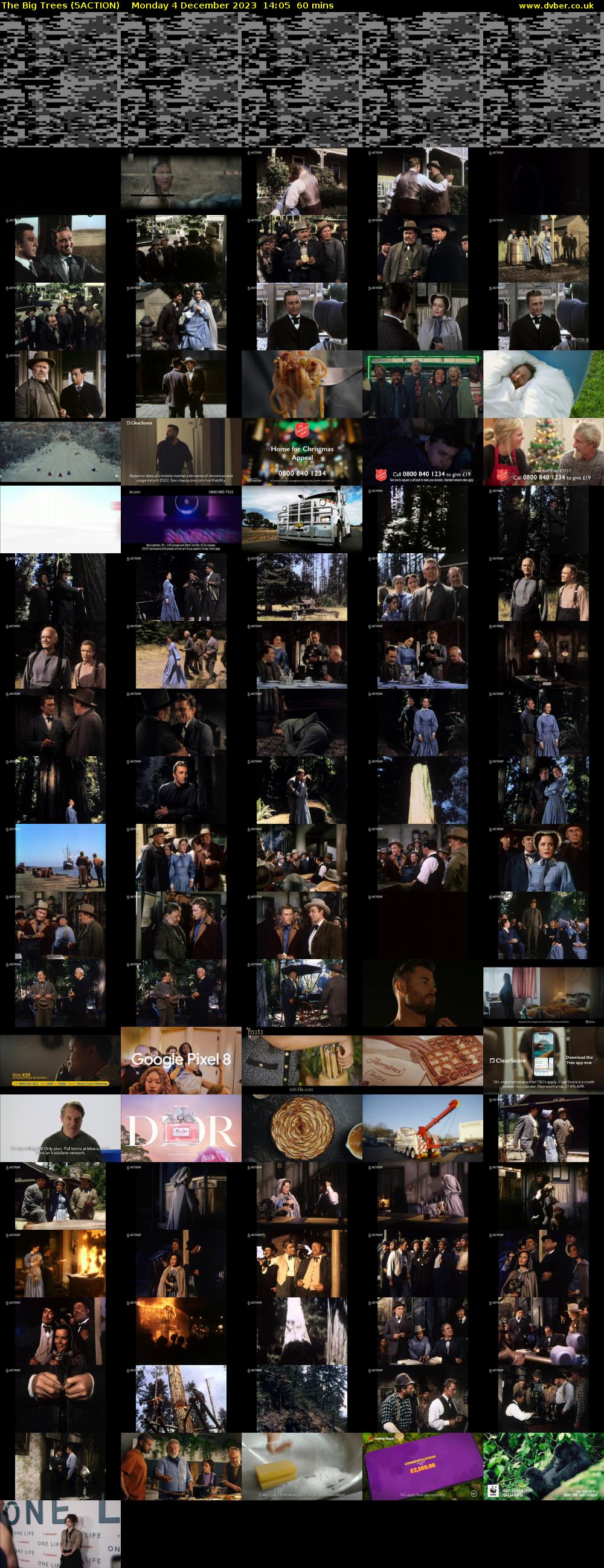 The Big Trees (5ACTION) Monday 4 December 2023 14:05 - 15:05