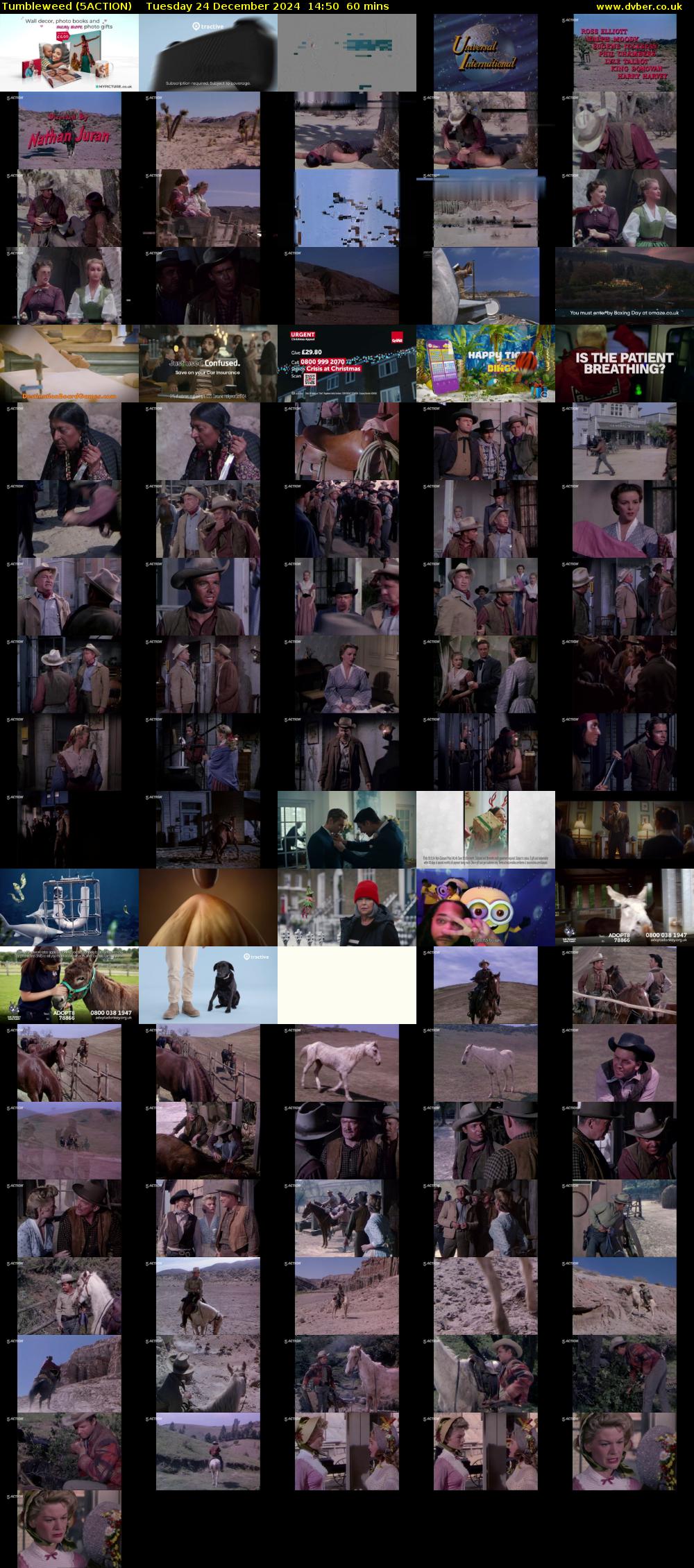 Tumbleweed (5ACTION) Tuesday 24 December 2024 14:50 - 15:50