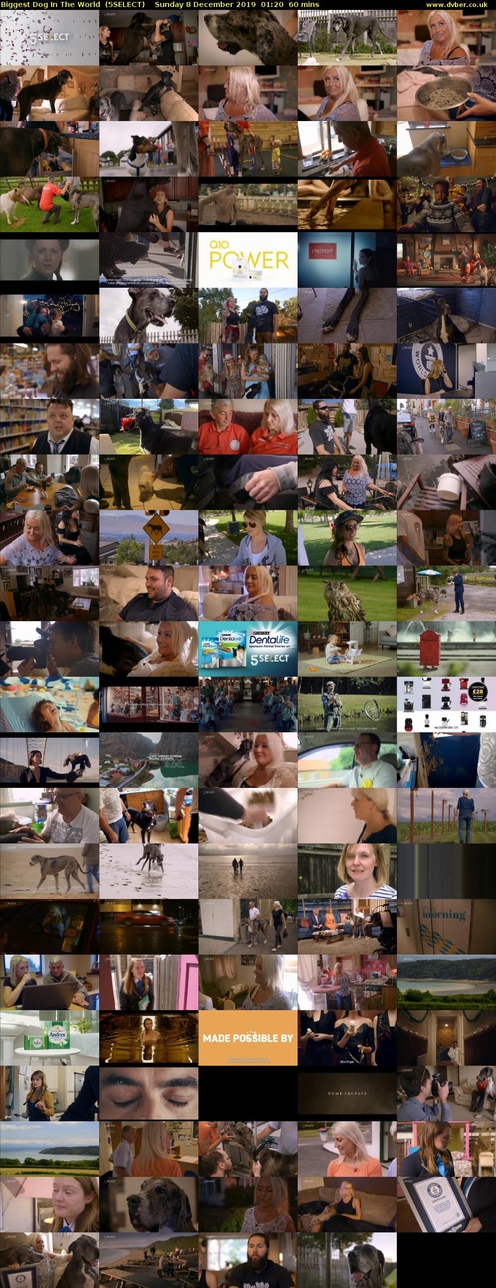 Biggest Dog In The World  (5SELECT) Sunday 8 December 2019 01:20 - 02:20