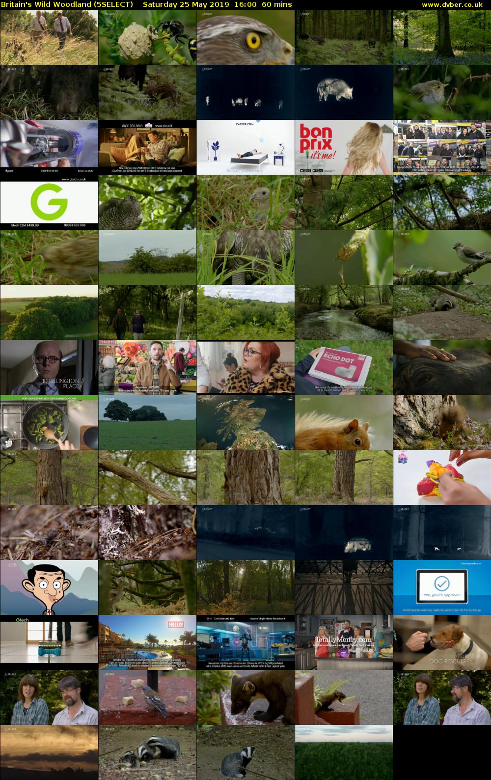 Britain's Wild Woodland (5SELECT) Saturday 25 May 2019 16:00 - 17:00