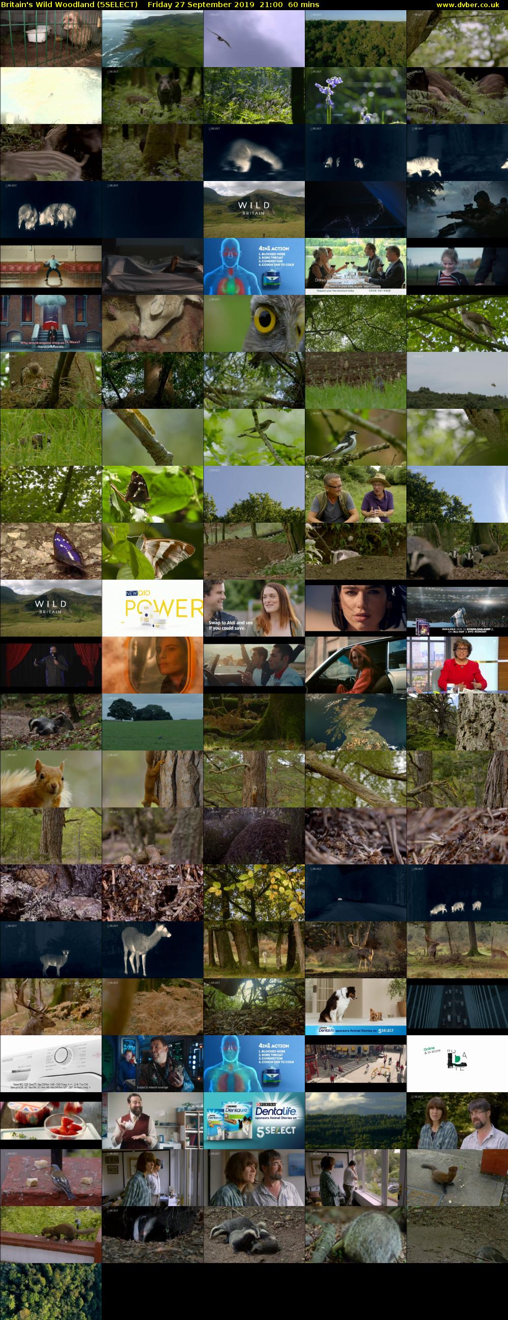 Britain's Wild Woodland (5SELECT) Friday 27 September 2019 21:00 - 22:00