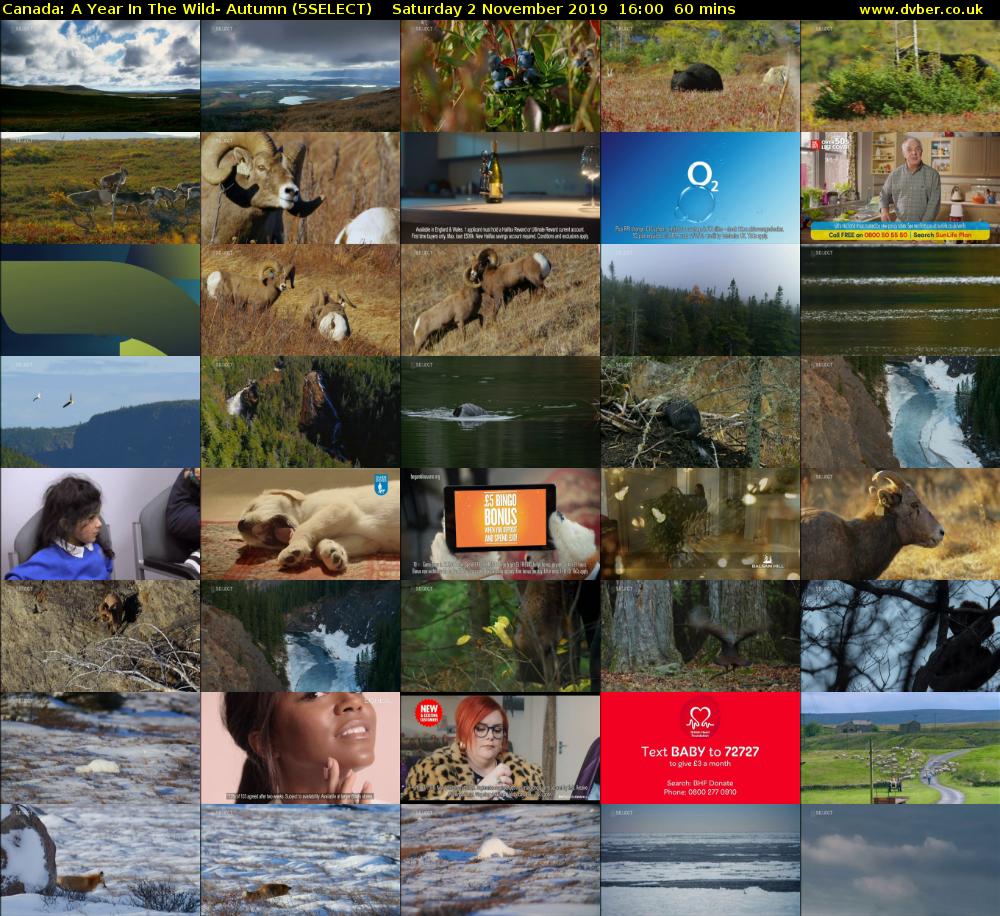 Canada: A Year In The Wild- Autumn (5SELECT) Saturday 2 November 2019 16:00 - 17:00