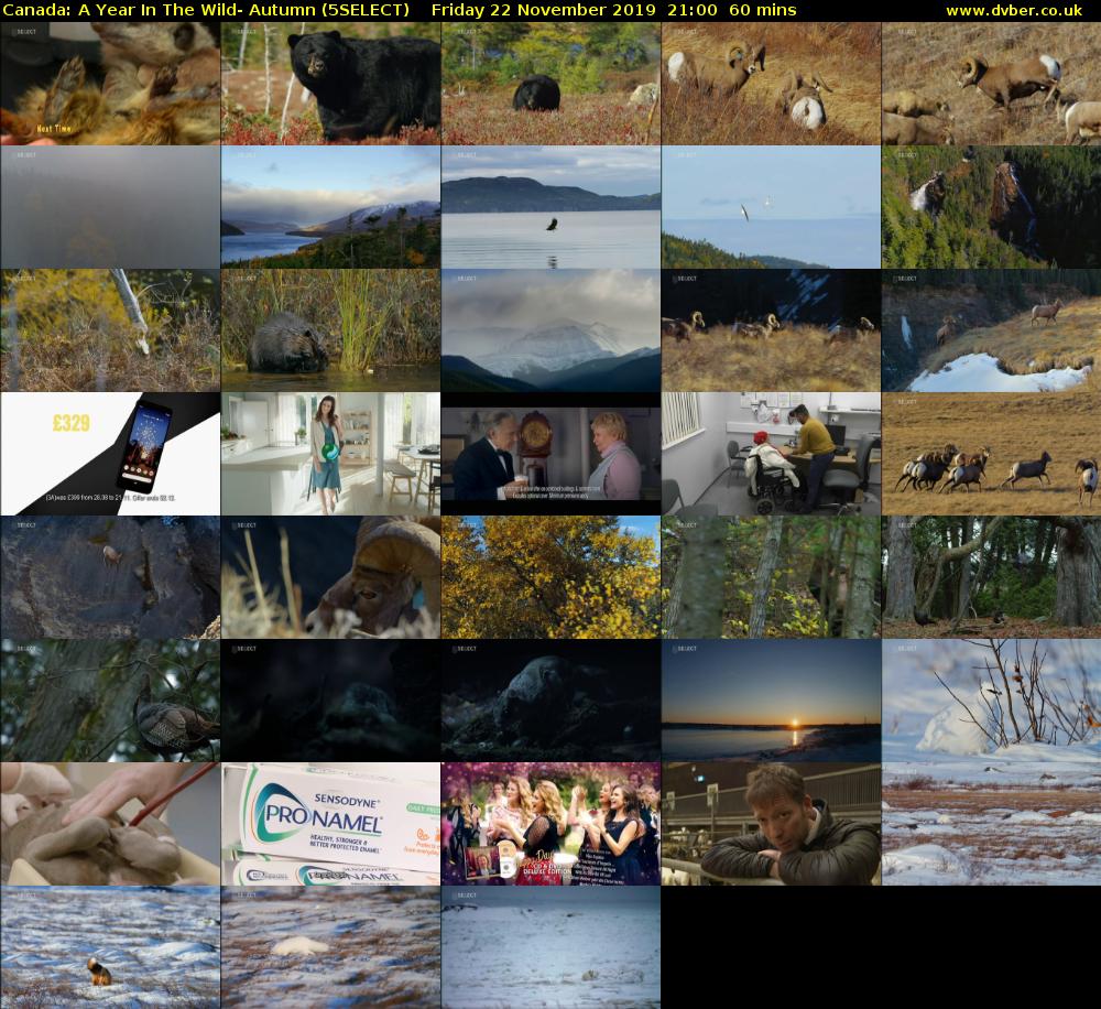 Canada: A Year In The Wild- Autumn (5SELECT) Friday 22 November 2019 21:00 - 22:00