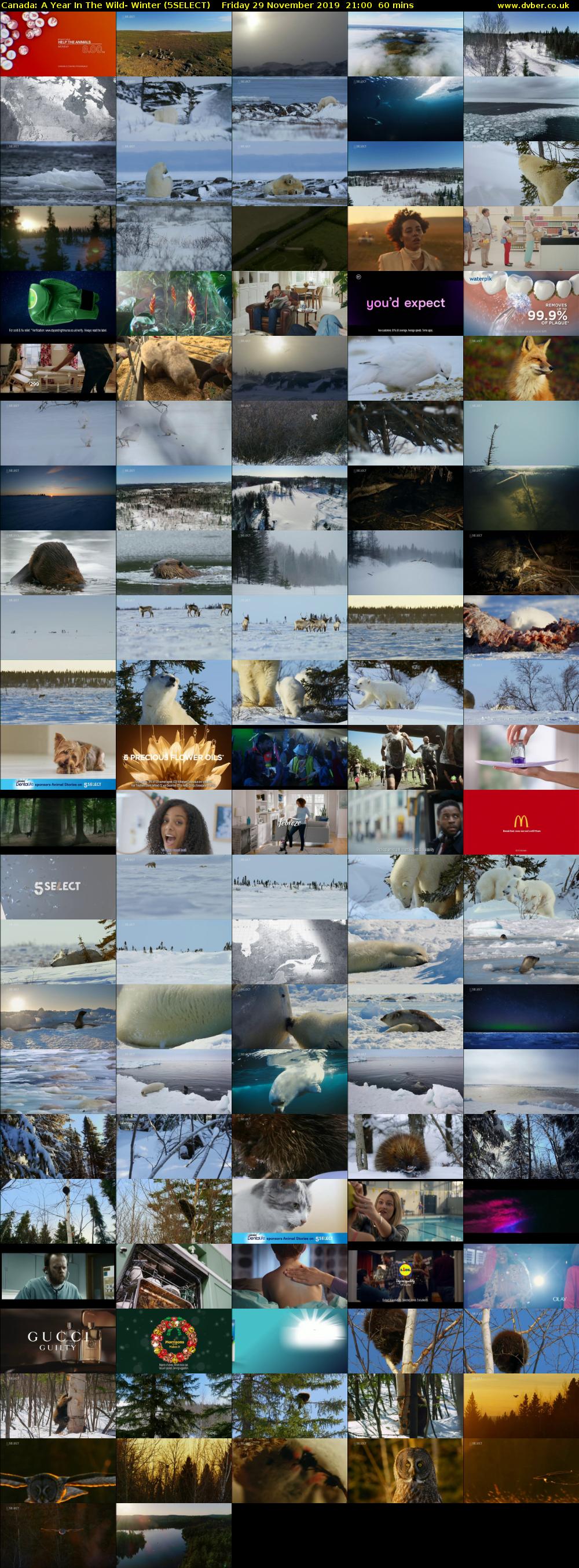 Canada: A Year In The Wild- Winter (5SELECT) Friday 29 November 2019 21:00 - 22:00