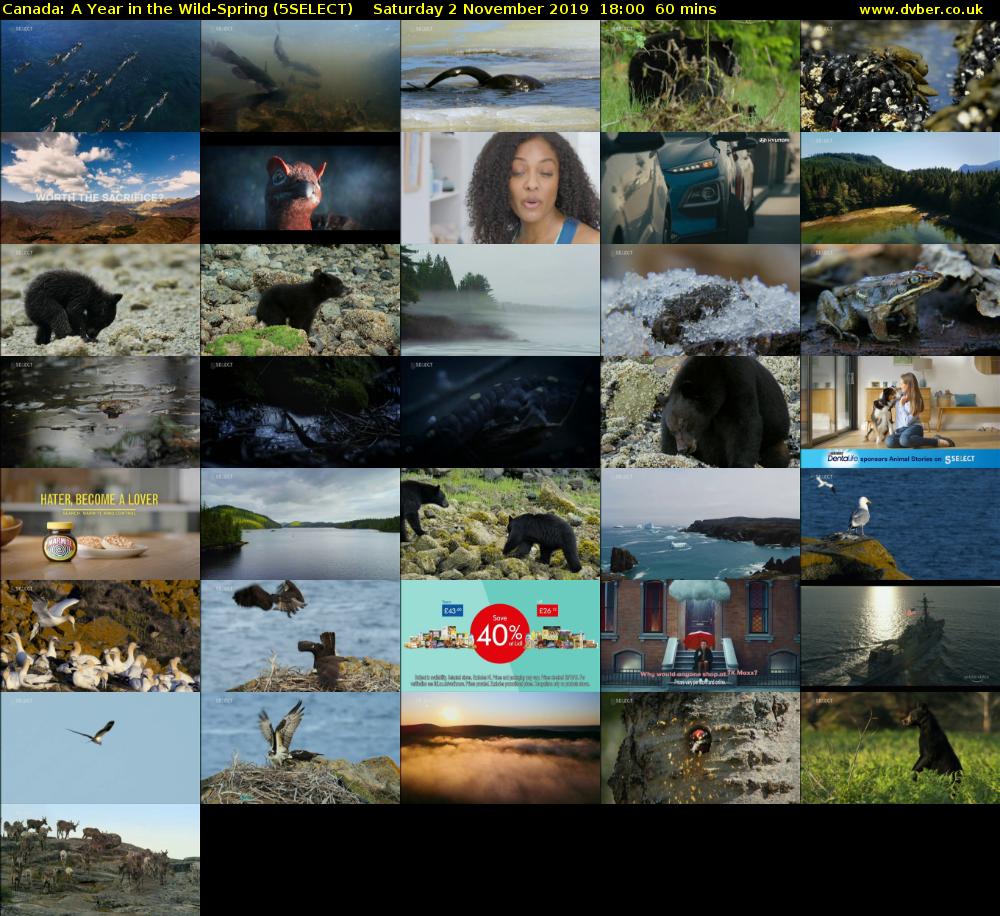 Canada: A Year in the Wild-Spring (5SELECT) Saturday 2 November 2019 18:00 - 19:00